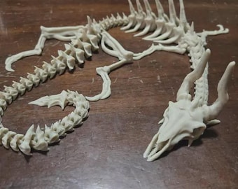 May include: An off-white, articulated skeletal figure resembling a mythical creature. The structure features a detailed skull with two prominent horns, a long segmented spine, a series of dorsal spikes, and four limbs with clawed feet.