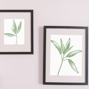 Green Sage Wall Art, Printable Kitchen Art, Printable Herb Watercolor Paintings, DIGITAL DOWNLOAD