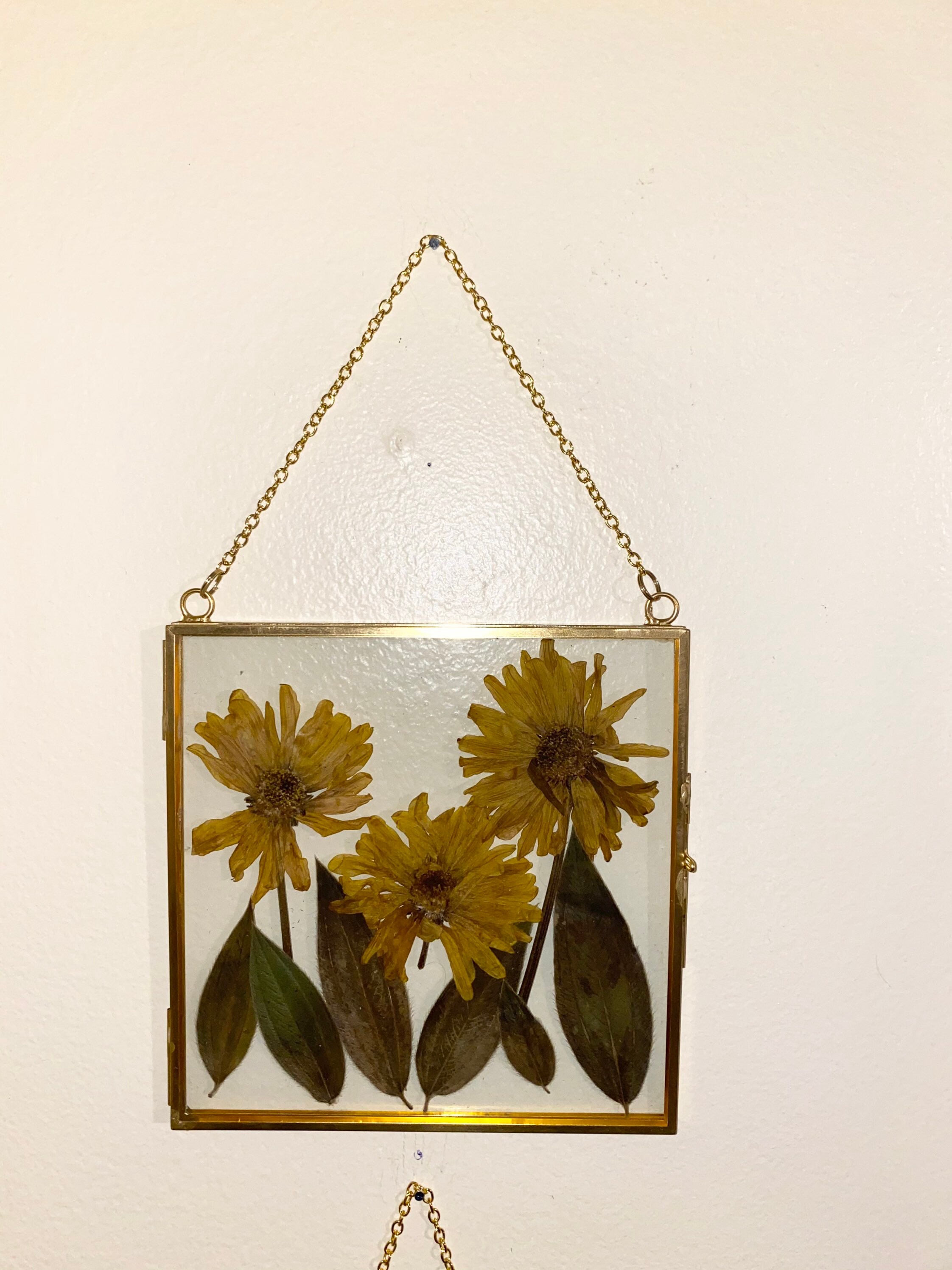 Framed Pressed Flowers Etsy
