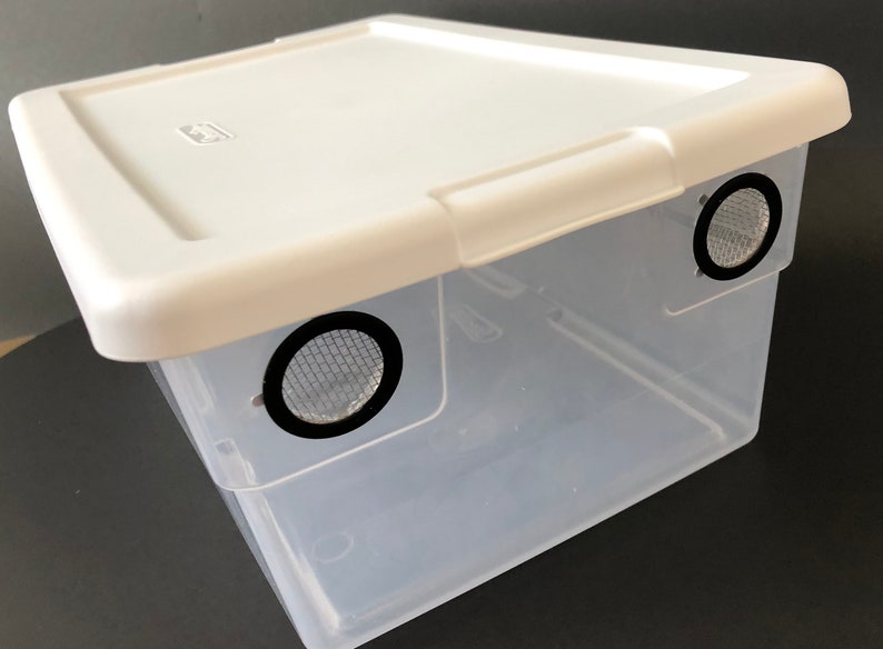 May include: A clear plastic storage container with a white lid. The container has two round holes with black mesh screens on the sides.