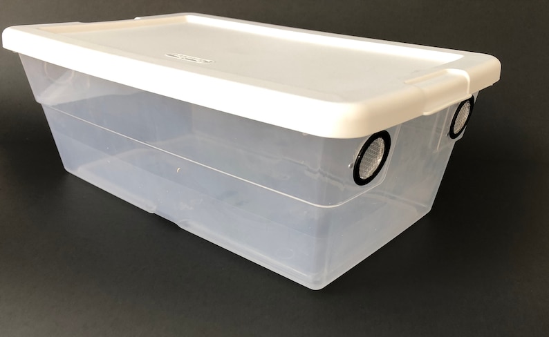 May include: A clear plastic storage container with a white lid. The container has two round holes in the lid, each with a black mesh screen.