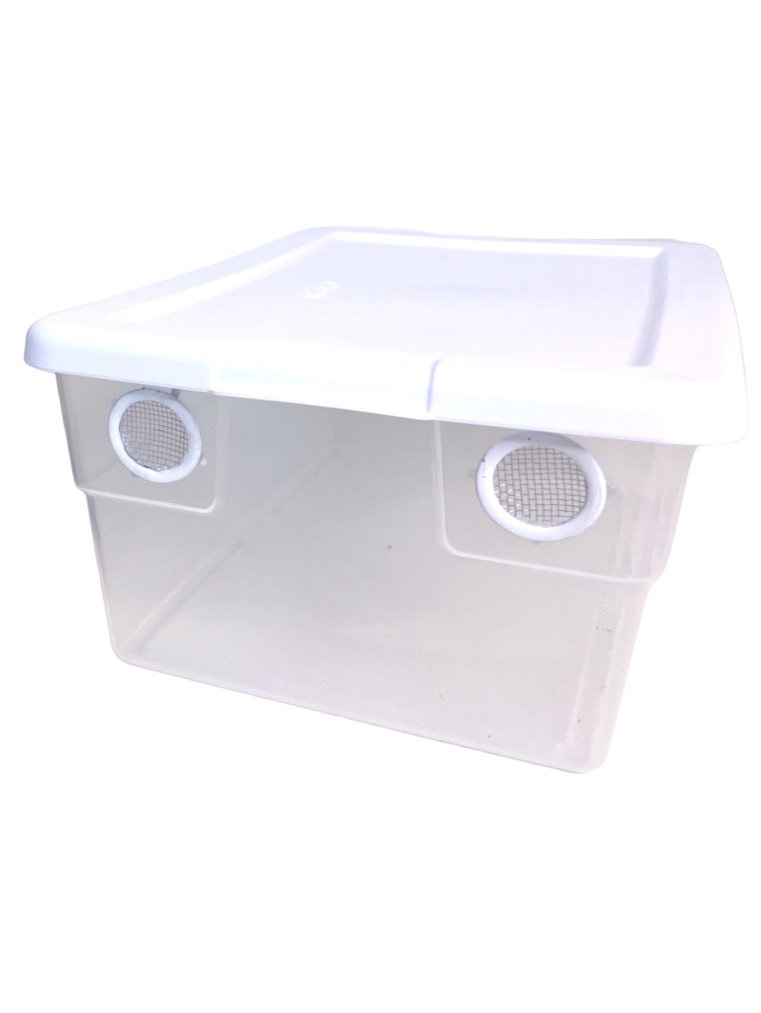 Vented Enclosure 6 Qt Terrarium Isopod Reptile Bugs Amphibians Vivarium