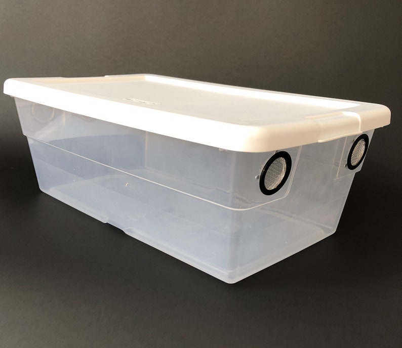 May include: A clear plastic storage bin with a white lid. The bin has two small black circles on the side, which are likely ventilation holes.