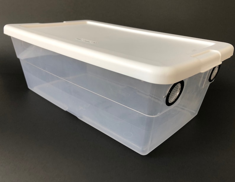 May include: A clear plastic storage container with a white lid. The lid has two small black circles on the top.