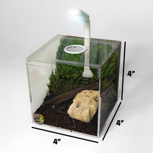 Clear Acrylic Vivarium 4&quot; Vented Terrarium for Isopods and Small Bugs