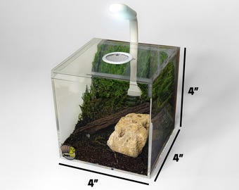 May include: A clear acrylic terrarium with a light, moss, a rock, and a piece of wood inside. The terrarium measures 4 inches by 4 inches by 4 inches.