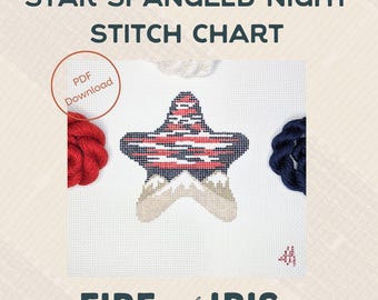 Star Spangled Night Needlepoint Stitch Chart