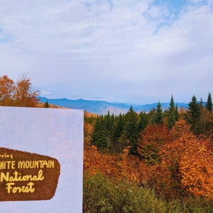 Letrero personalizado de bosque nacional