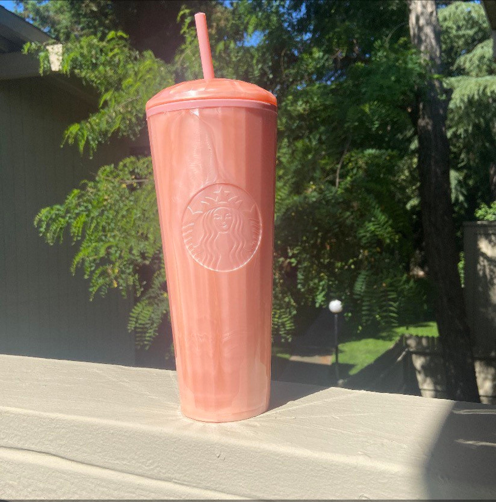 Starbucks Dome tumbler Etsy