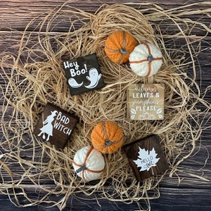 Tier Tray Signs // Fall Signs // Fall Decor // Wood Signs// Tiered Tray Decor // Seasonal // Halloween