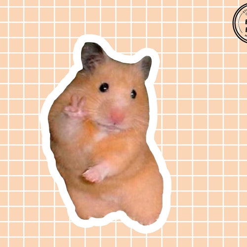 Funny Hamster Vinyl Sticker Hamster Meme Sticker Cute - Etsy