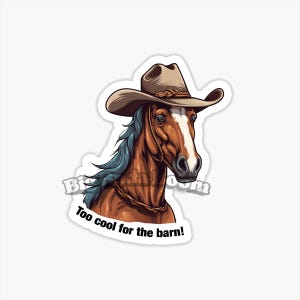 Cowboy Pferd Vinyl Aufkleber, Pferd Aufkleber, Aufkleber Laptop, lustiger Zitat Aufkleber, Meme Spruch Aufkleber, Wasserflasche Aufkleber, Telefon Aufkleber