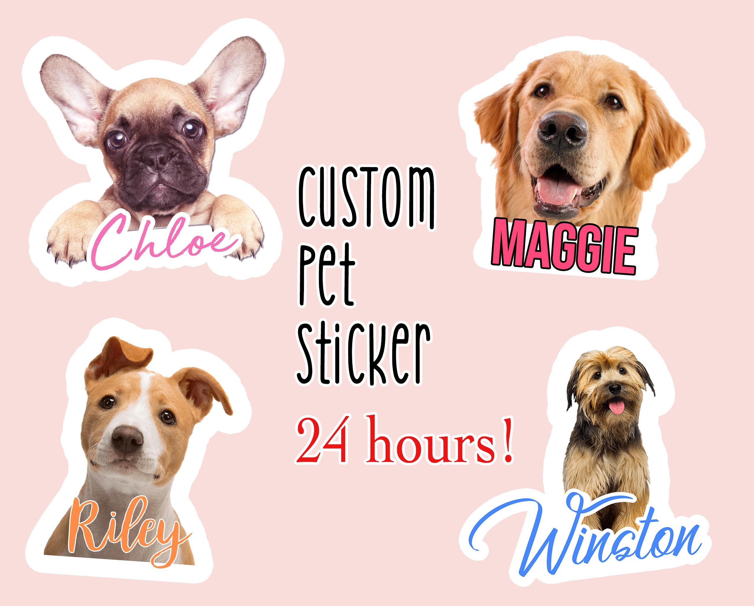 Custom Pet Stickers Cute Personalized Pet Stickers Dog Etsy