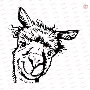 Plotter file Alpaca, Lama