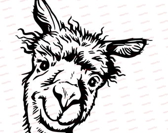 Plotter file Alpaca, Lama