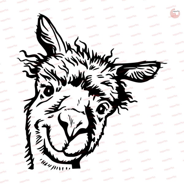 Plotter file Alpaca, Lama