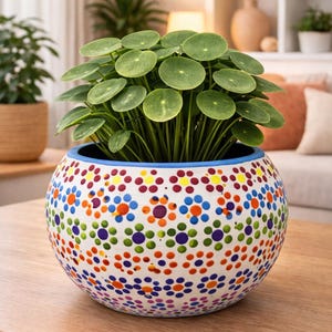 May include: A round, white ceramic planter with a colorful polka dot pattern, filled with a green plant with round leaves. The planter sits on a wooden table. The planter is approximately 10 inches in diameter.