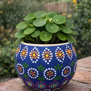 May include: A round, blue ceramic planter with a colorful floral pattern, holding a green plant with round leaves. The planter is decorated with white, orange, yellow, and green designs. The plant pot sits on a brick surface.