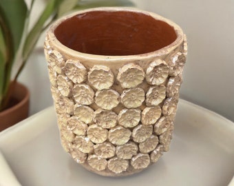 May include: A cream-colored ceramic planter with a textured surface of raised flower shapes. The planter has a brown terracotta interior.