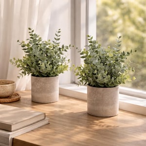 May include: Two small potted plants with green foliage sit on a wooden surface near a window. The plants are in light gray, cylindrical pots. The background includes a window and a white curtain.