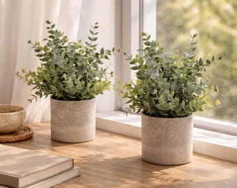 Minimalist Small Artificial Eucalyptus Potted Plants Set Of 2 - Modern Farmhouse Shelf Decor - Realistic Mini Potted Plants For Office Desk
