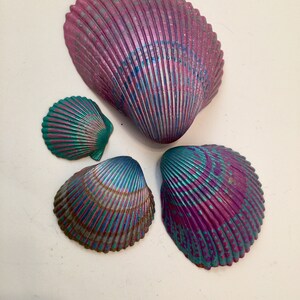Turquoise and Pink Painted Seashells - Etsy