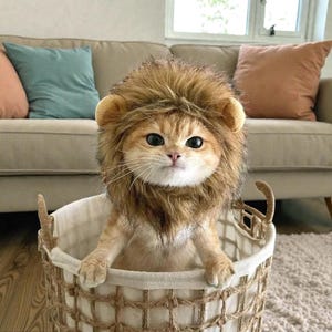 May include: A ginger cat wearing a lion's mane costume sits in a woven basket. The cat has large, round eyes and is looking directly at the camera. The basket is placed on a light-colored rug, with a beige sofa and pillows in the background.