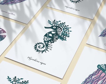 Leafy Seahorse Postcard - A6 Card - Leafy Seahorse Illustration - Seahorse Postcard