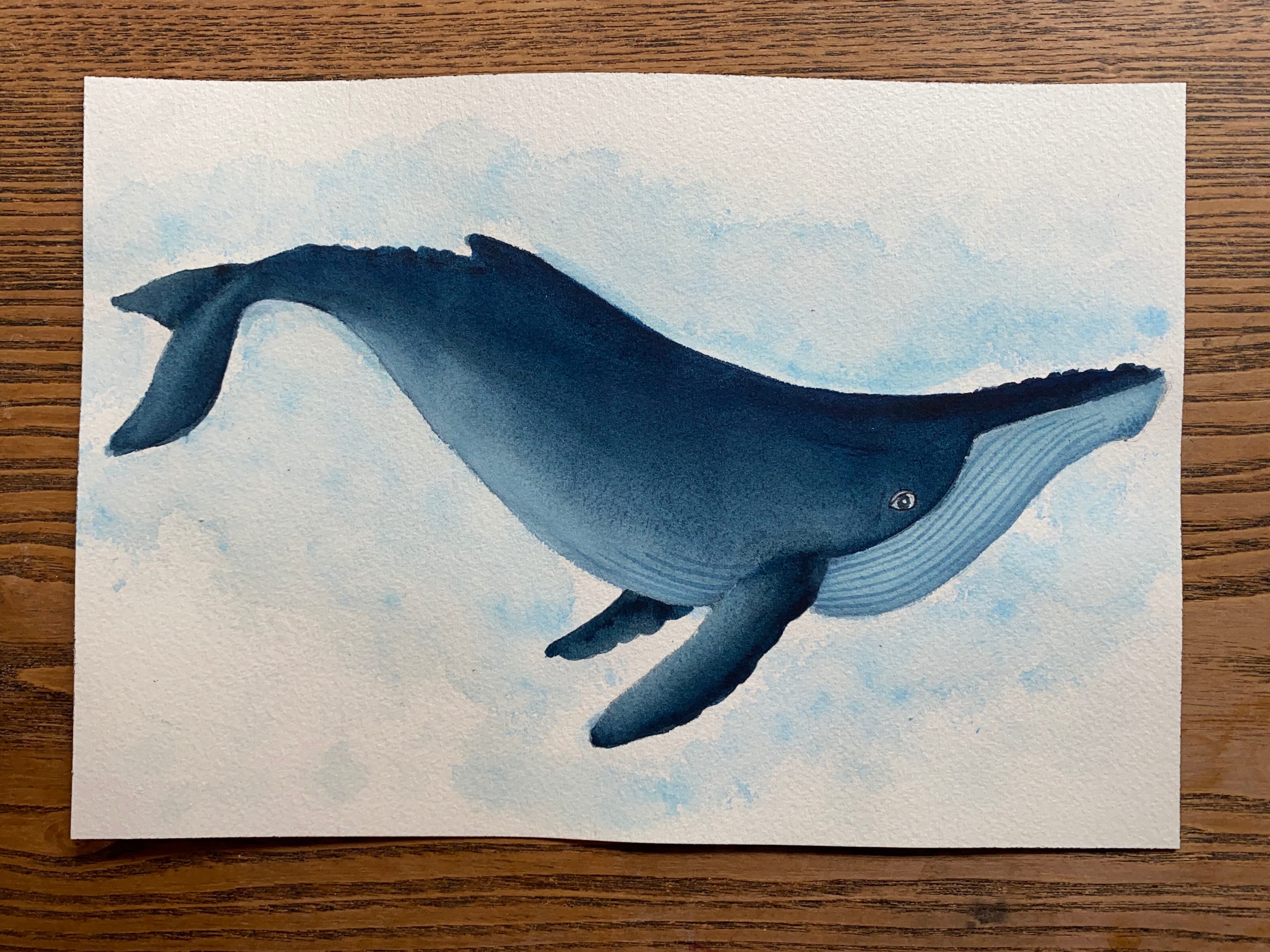 Original Humpback Whale Watercolor Painting Etsy Norway