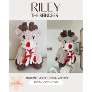 Renen Riley | Grovstickad plyschplysch i PDF-format + videohandledning