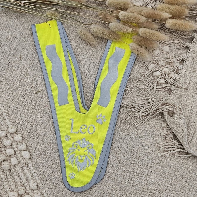 May include: Yellow safety vest with reflective strips and a lion graphic. The vest has the name "Leo" printed on it.