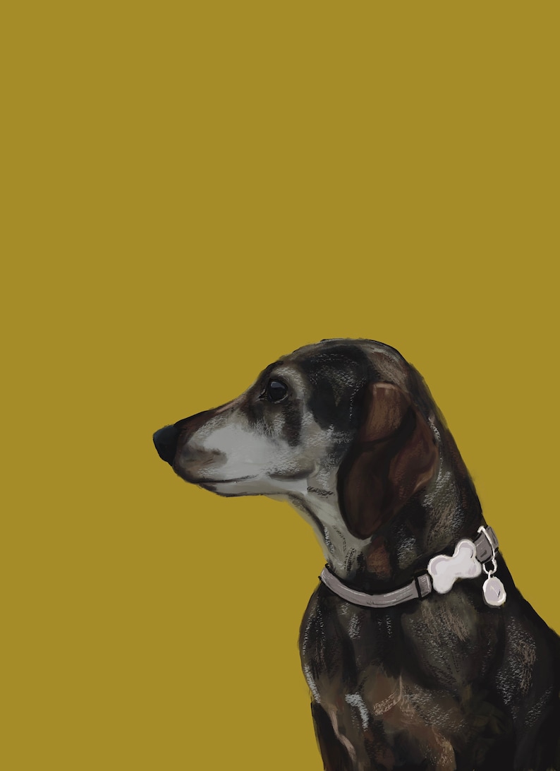 Any Pet Pet Portrait A4A3 print and Download Pet Painting- memorial Cat, Dog, Rabbit, Bird, Pet Snail Great Gift or Keepsake