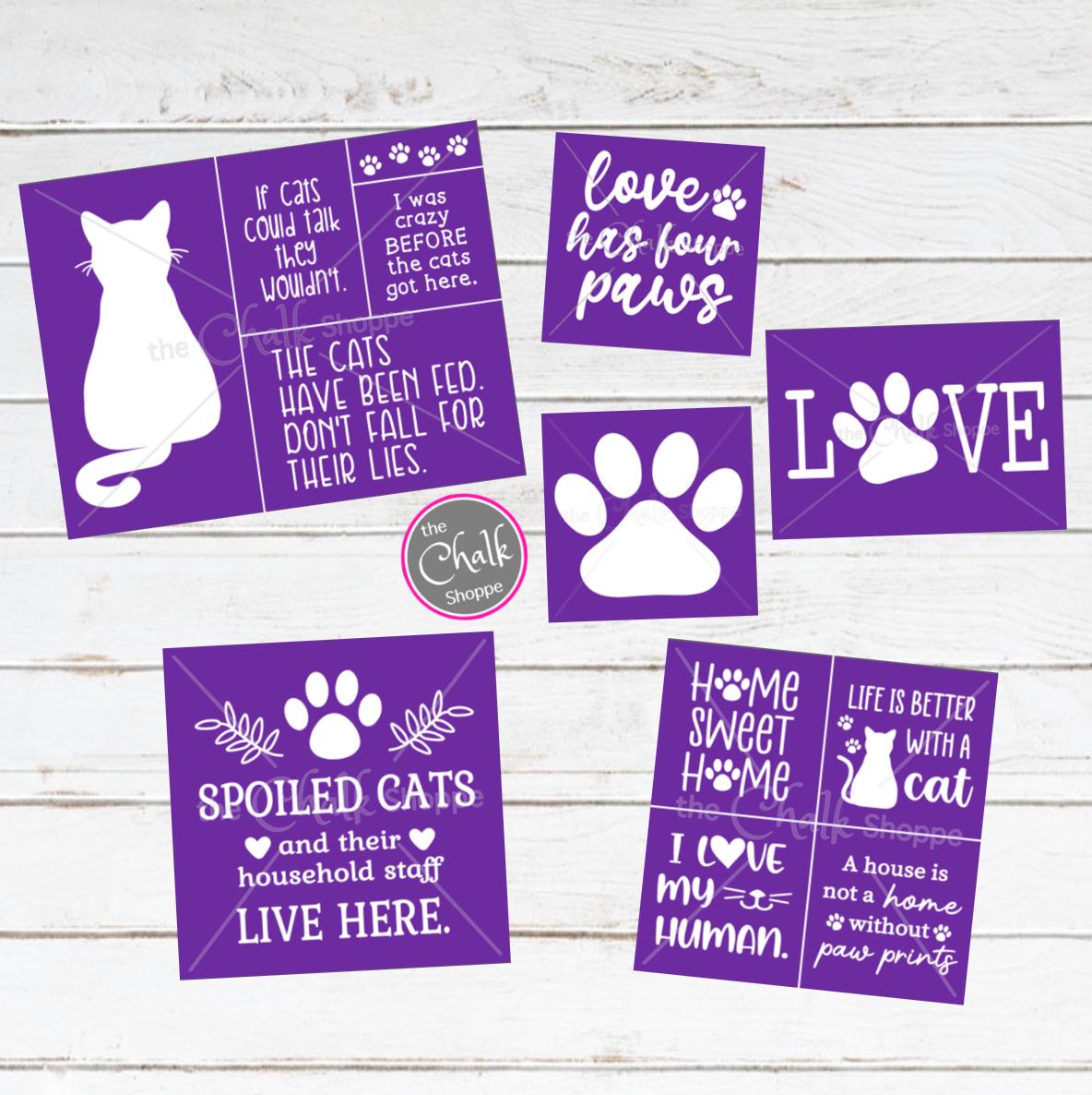 Cute Cat Sayings - Main Image