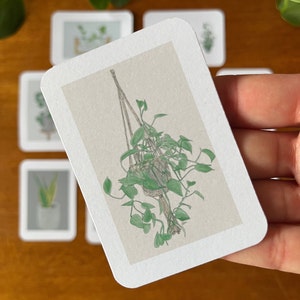10 x Small Gift Tags / Cards - Plant - Ready to Ship-Recycled- Heart Leaf Philodendron - Rubber Plant - Pothos - Snake Plant - Pilea