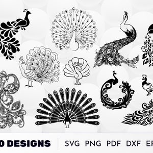 Peacock Svg, Peacock Feather Svg, Peacock Clipart, Bird Svg, Peacock Silhouette, Peacock monogram, Peacock Cut files, Svg files for Cricut