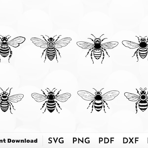 Bee SVG, Honey Bee Svg, Bee Svg gesneden bestanden, Queen Bee Svg, honingraat Svg, Bee Clipart, Bumble bee Png, Bee silhouet, honingbij SVG