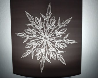 Snowflake night light Christmas gift winter decor night light plug in