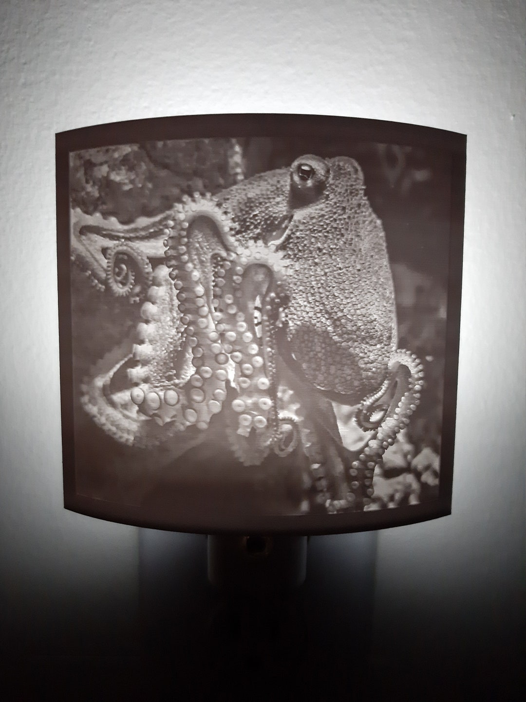 Octopus Night Light Beach House Gift Oceanfront Night Light Etsy