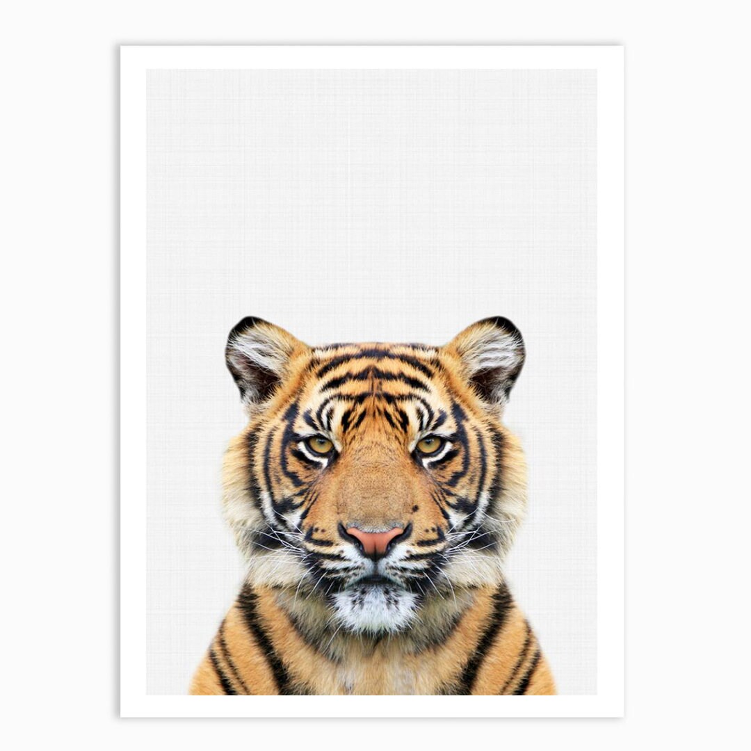 Juniqe Tiger Portrait Framed Print