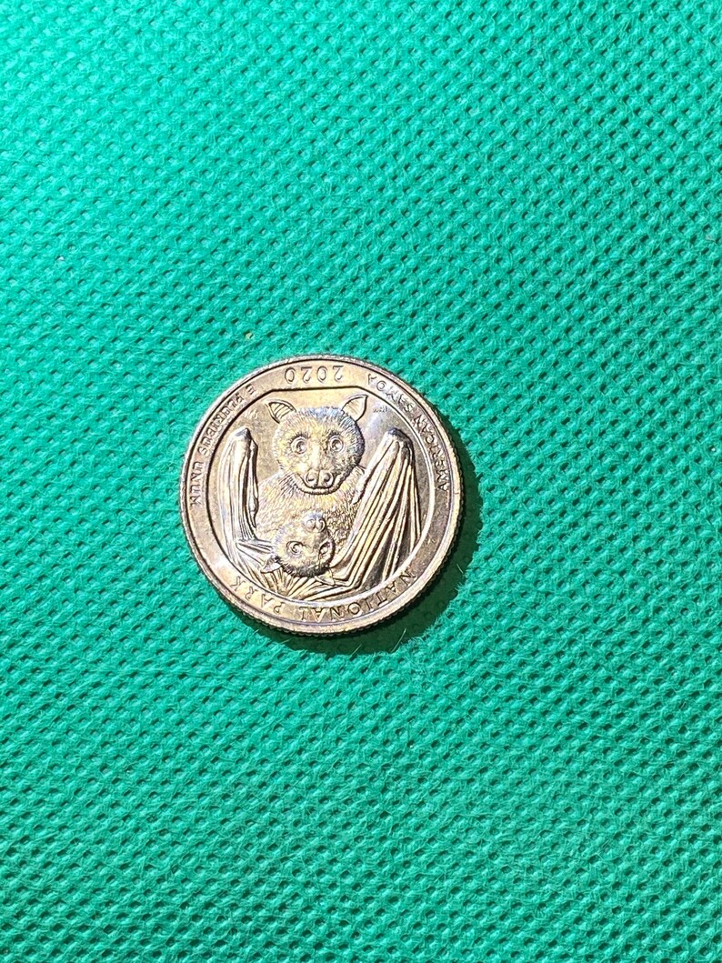 RARE 2020 Bat QUARTER ONLY 1 | Etsy