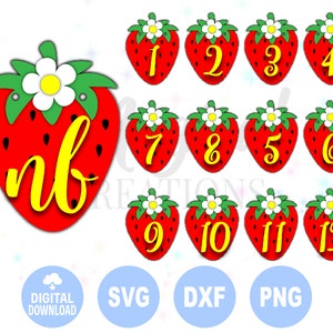 Strawberry Baby First Birthday Monthly Photo Banner svg, DIY Banner svg, First Birthday Banner svg, Strawberry Banner svg