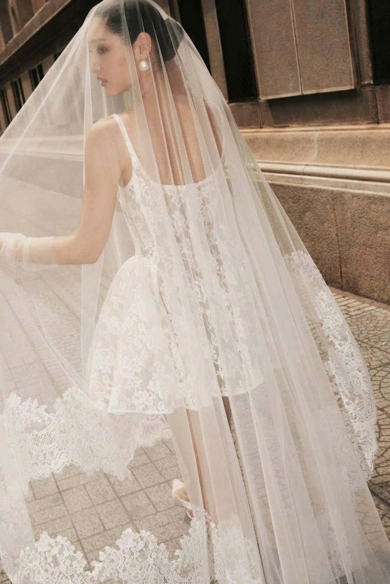 May include: A white lace wedding dress with a tulle veil. The veil has a lace trim and is flowing behind the dress. The dress has a fitted bodice and a full skirt. The dress is worn by a person standing on a sidewalk.