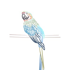 Tropical Bird Art PDF