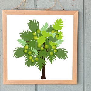 May include: A framed illustration of a green tree with green fruit. The tree has a brown trunk and is set against a white background.