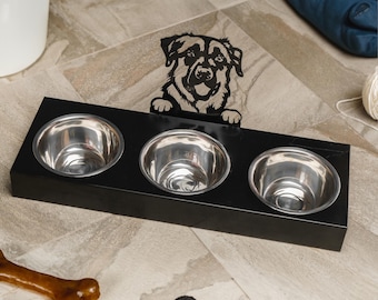 Personalized Metal Triple Raised Dog Bowl