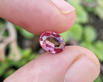 1.25 Ct Cotton Candy Pink Garnet | 6x8 MM Rare Pastel Rhodolite | Light Rose Pink Loose Gem Stone | Natural January Birthstone