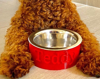May include: A brown and white dog with curly fur sits in front of a red dog bowl with the name "Teddy" engraved on it.