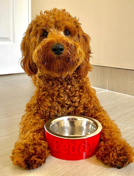 Personalised dog water clearance bowl