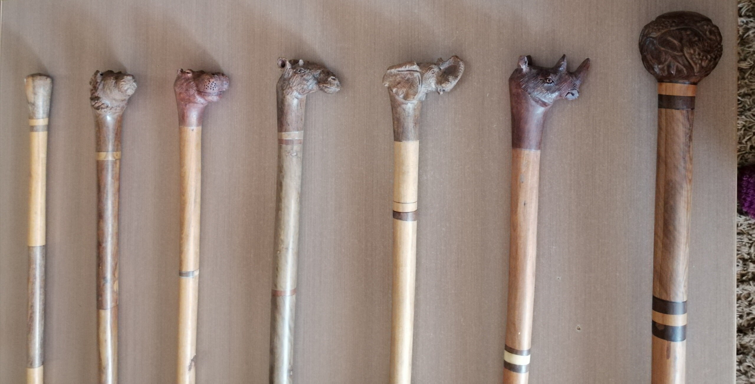 Africa Hand Carved Cane Walking Stick Zimbabwe African Art Wood Wild