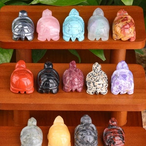 May include: A collection of 15 small turtle figurines carved from various types of polished stones. The turtles are arranged in three rows on a wooden shelf. The stones include red, black, pink, blue, purple, grey, and yellow.